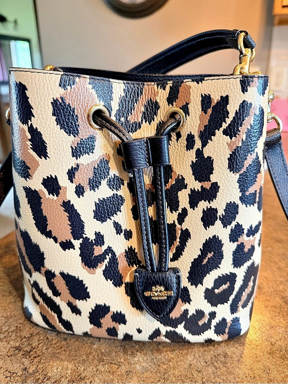 Coach City Bucket Bag With Leopard Print